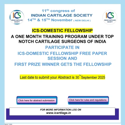 ICS DOMESTIC FELLOWSHIP _page-0001